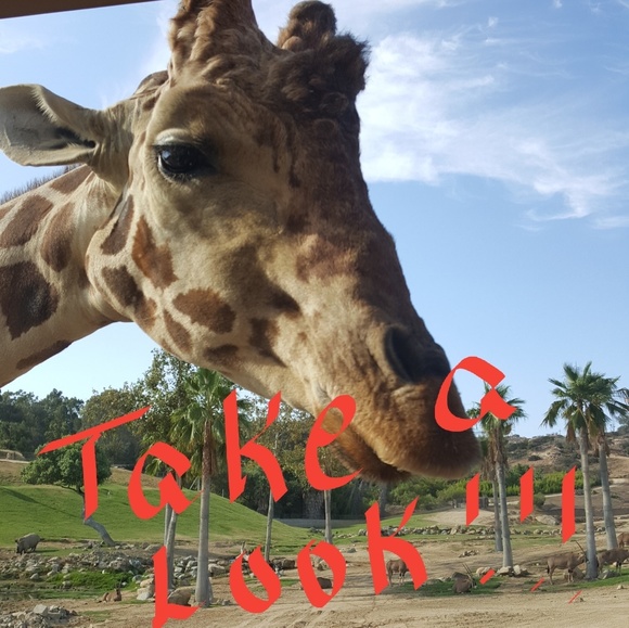 💛💛 Everything 💙💙💙 - Picture 1 of 1